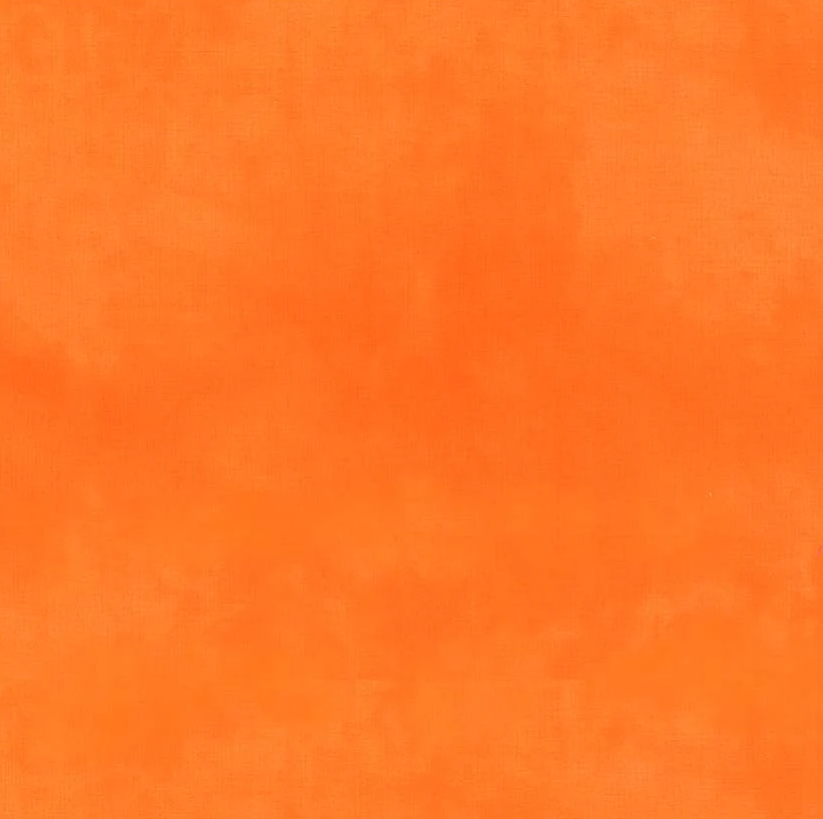 Palette* California Poppy