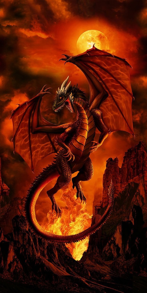 Dragon Fire 24" Panel