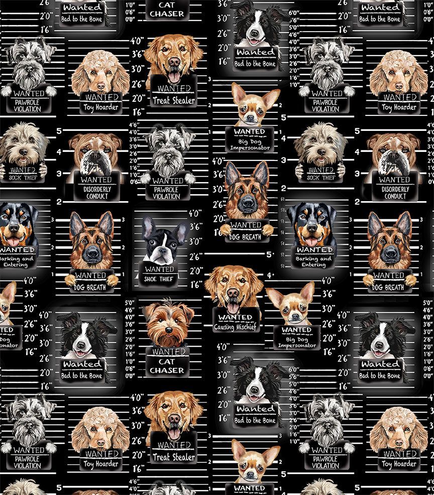 Dog Mugshots
