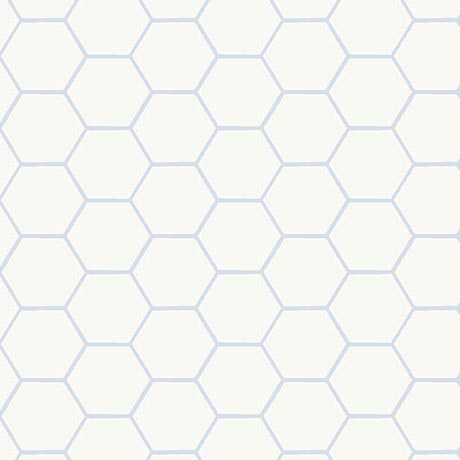 Bee Kind & Curious Honeycomb Ecru