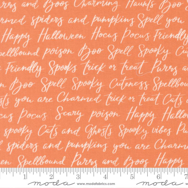 Purrs and Boos Spooky Script Pumpkin