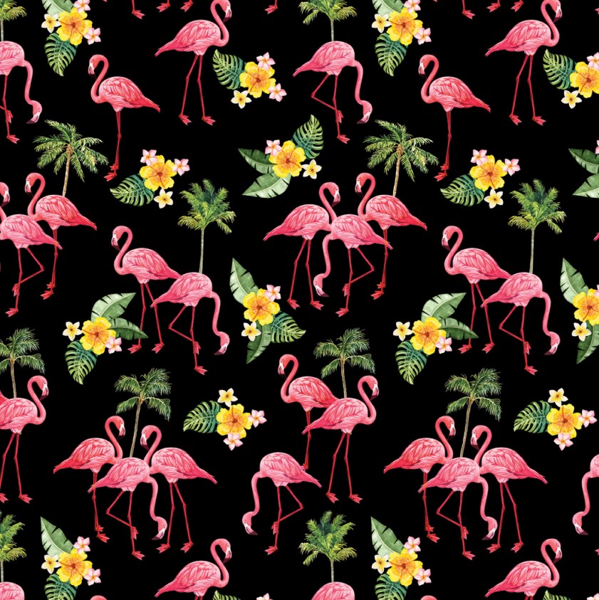 Paradise Awaits Flamingos Black