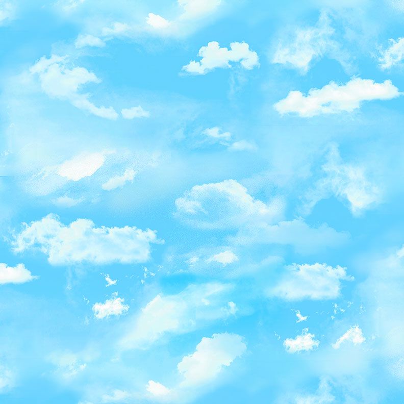 Meadow Cloudy Sky