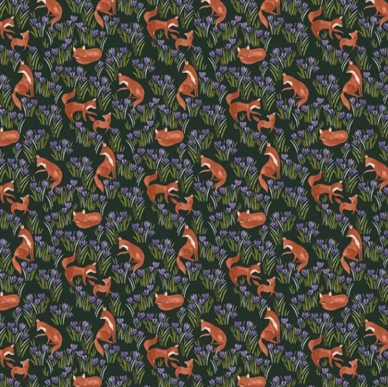 Midnight Crocus