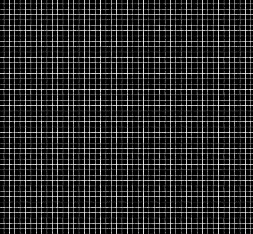 Noah & Friends ll Grid Black