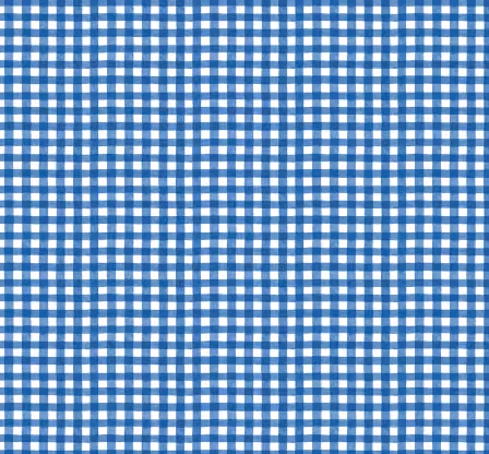 Blue Country Gingham