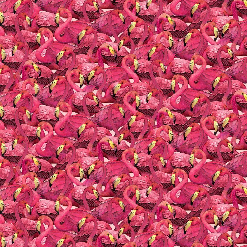 Packed Flamingos