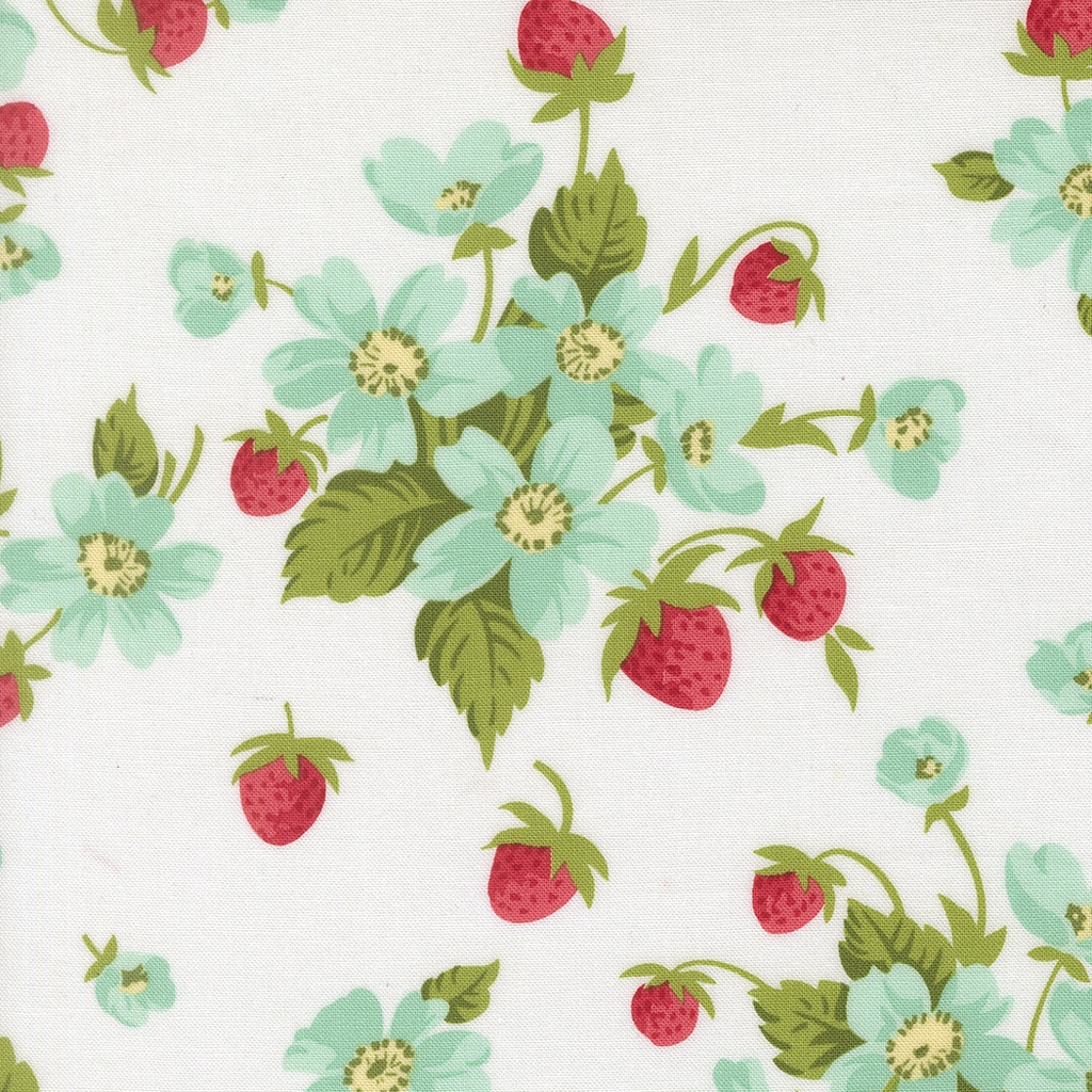 Bloomsberry White