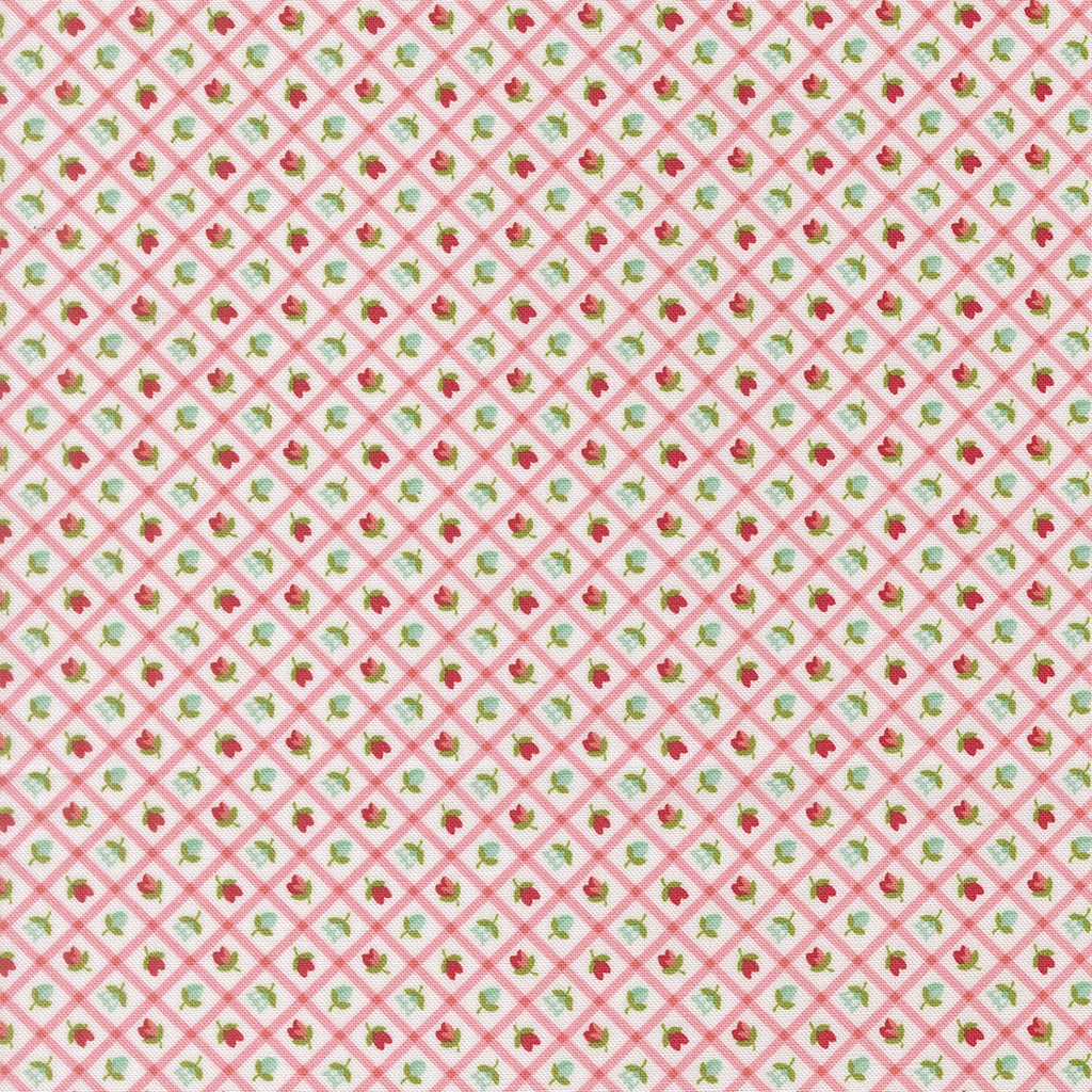 Bloomsberry Blush