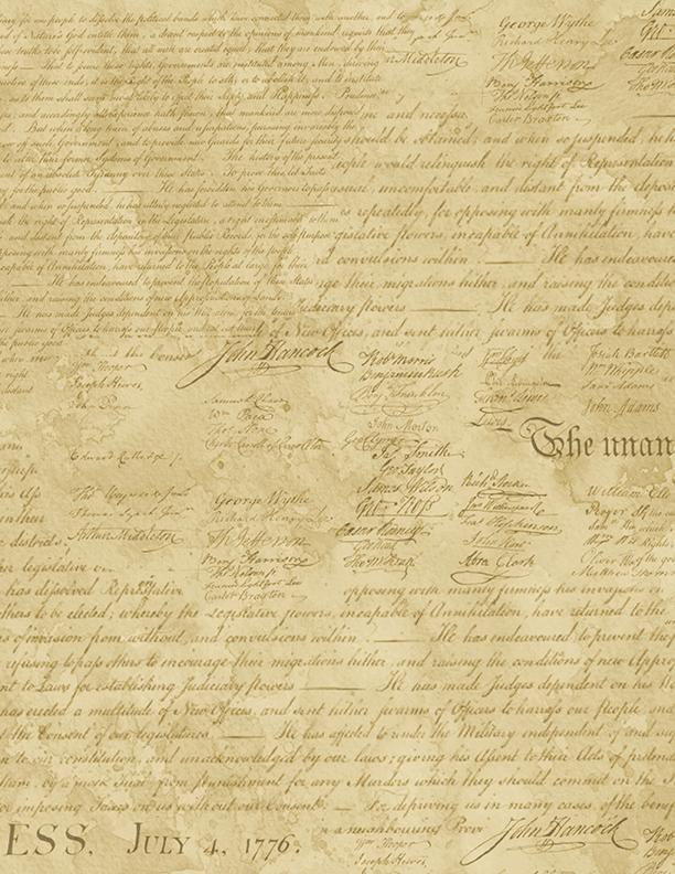 Colors of Courage Declaration
