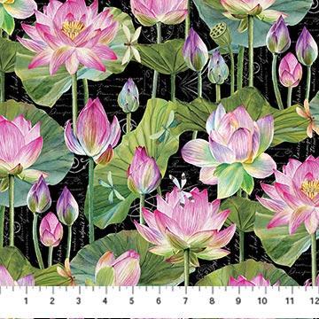 Water Lilies Floral Black