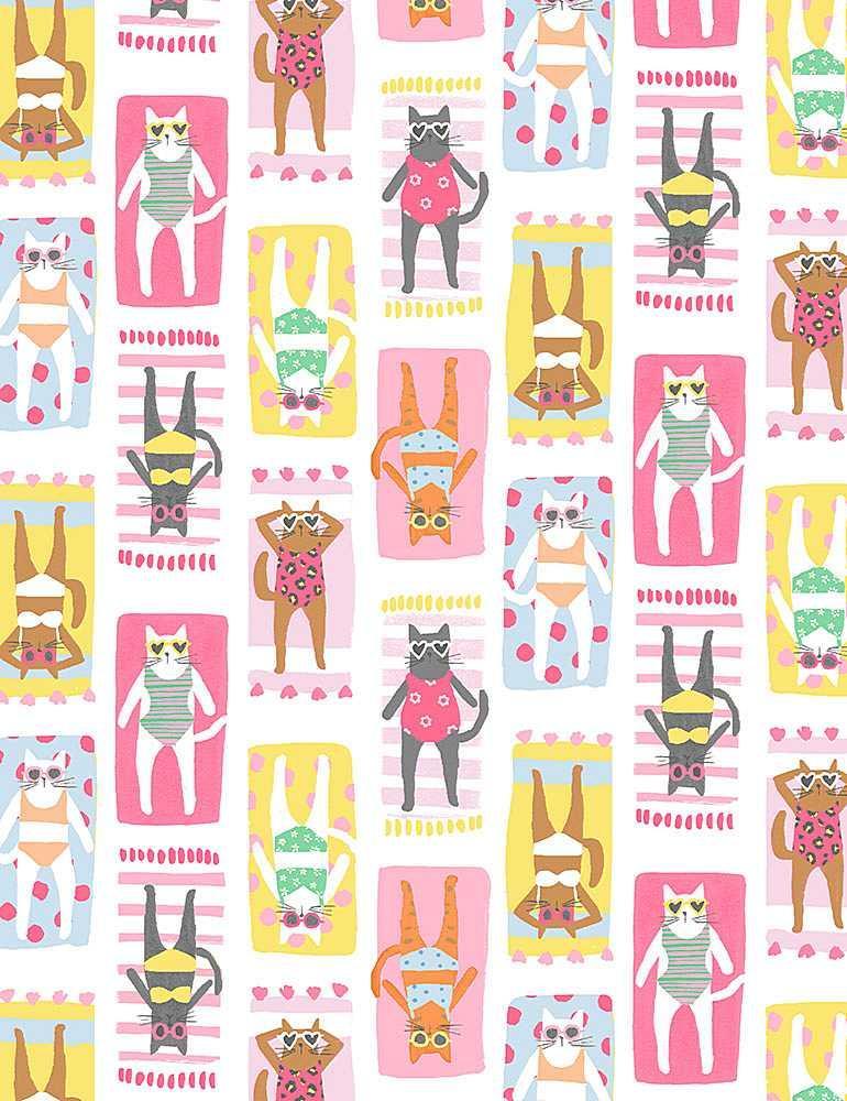 Meowmi Beach