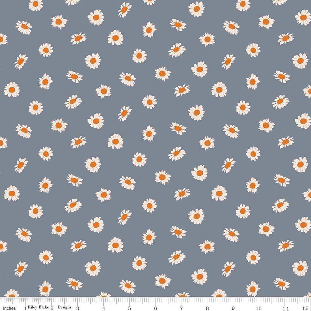 In The Afterglow Daisies Stone