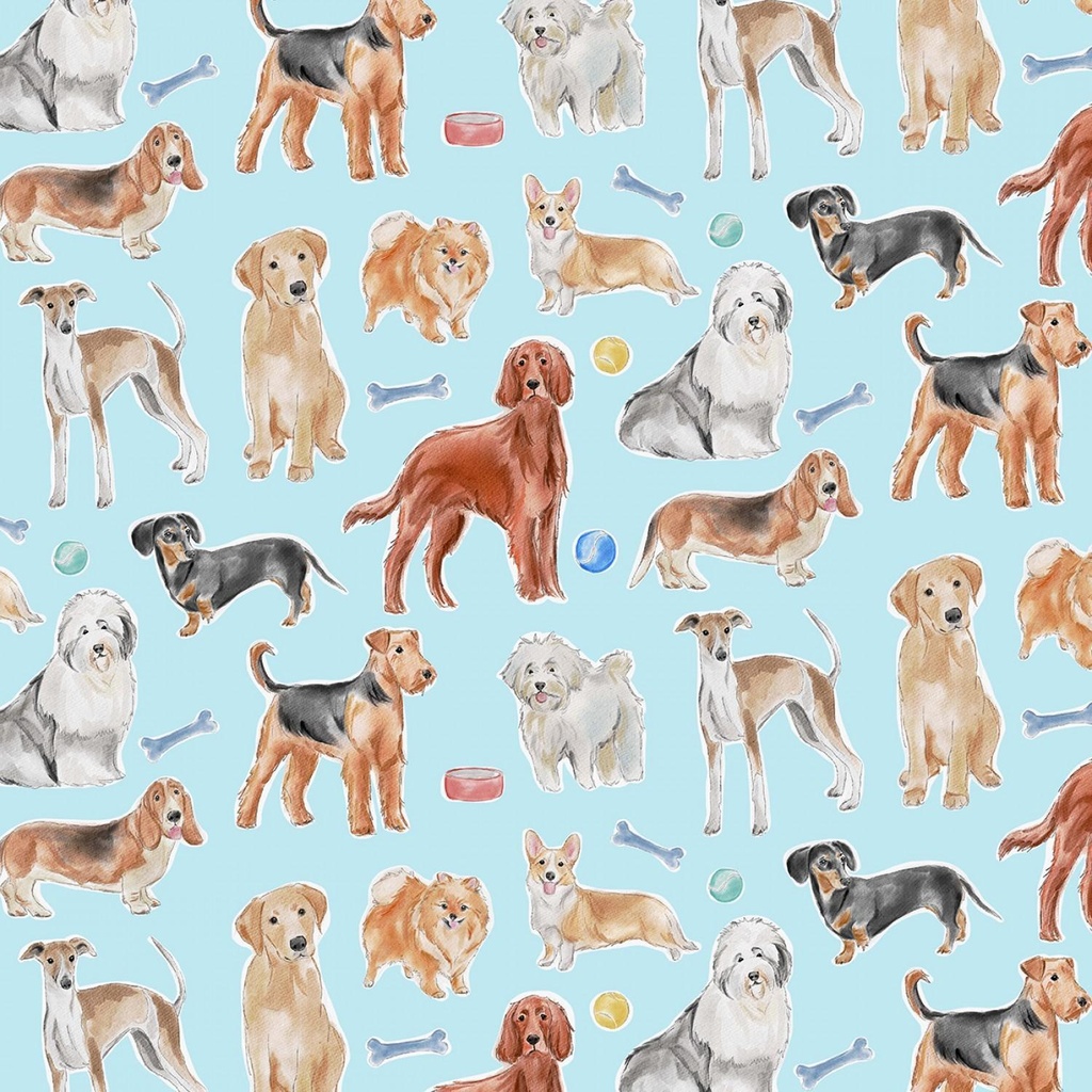 Stay Pawsitive Blue