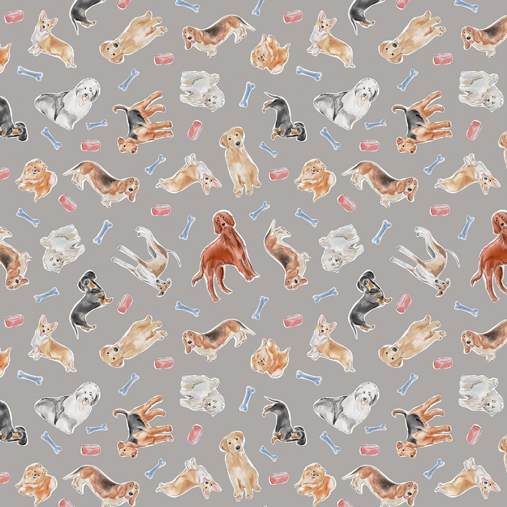 Stay Pawsitive Grey