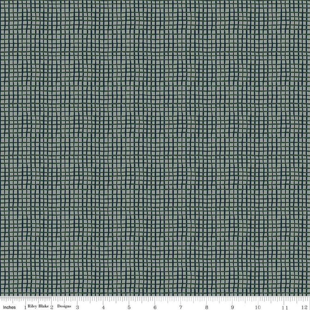 'Round the Mountain Gingham