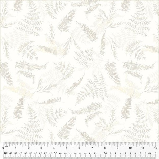 [53786D-2] Perennial Ivory Fern
