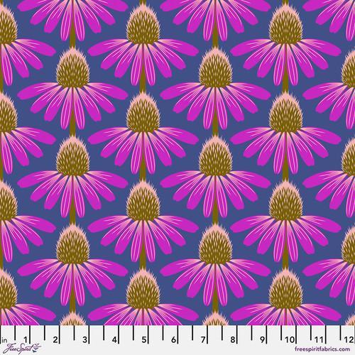 [PWAH075.HAUTE] Echinacea Haute