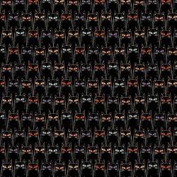 [120 2449] Starlight Spooks Black Cat