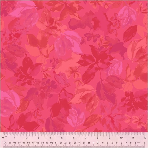 [54033-5] Lush Bougainvillea