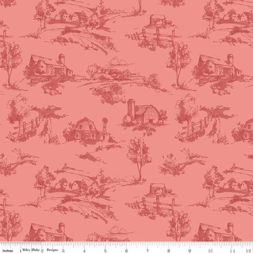 [C14532-CORAL] Countryside Scenery Coral