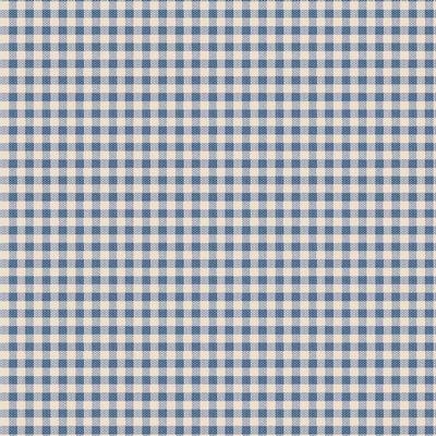 [F97824] Gingham Blue