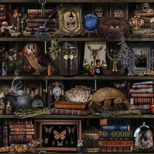 [CD277] Witch Apothocary Book Shelf