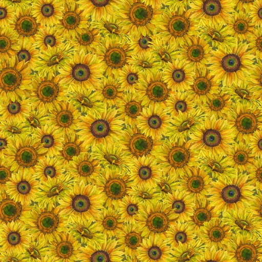 [C15131-YELLOW] Honey Bees and Flowers Please Sunflower Bouquet