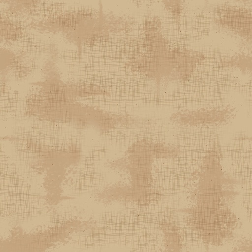 [C605-ALLSPICE] Shabby Color Allspice