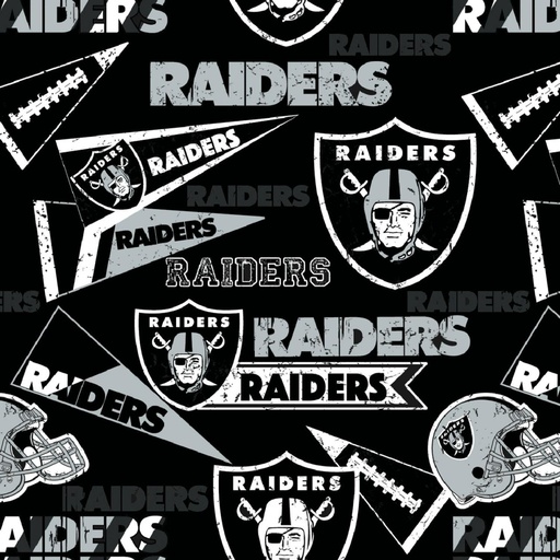 [14448-D] Las Vegas Raiders