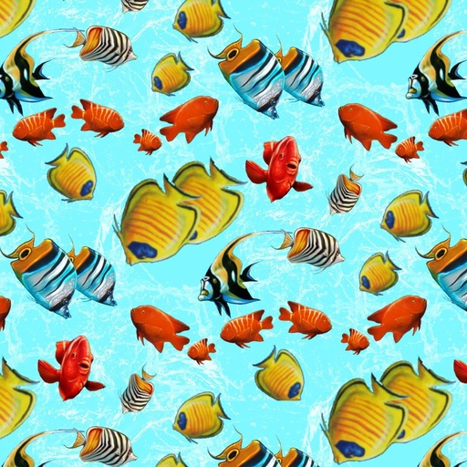 [SEF5748-11] Reef Life