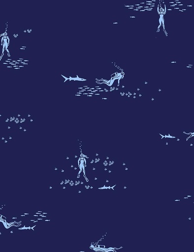 [STELLA-2020] Sun of a Beach Scuba Diving