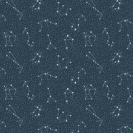 [CC406-DS1] Cosmic Sea Galaxy