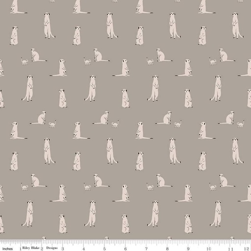 [C11843-GRAY] The Waterhole Meerkat Gray