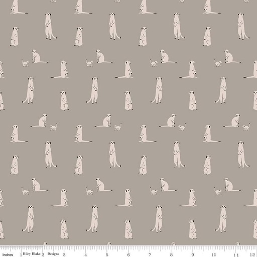 [C11843-GRAY] The Waterhole Meerkat Gray