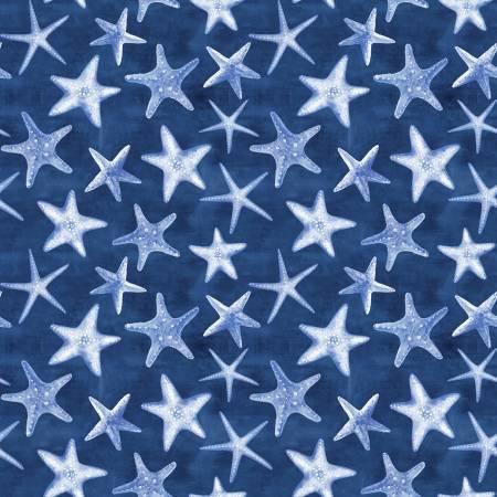 [CX10302-NITE] Vitamin Sea Nite Starfish