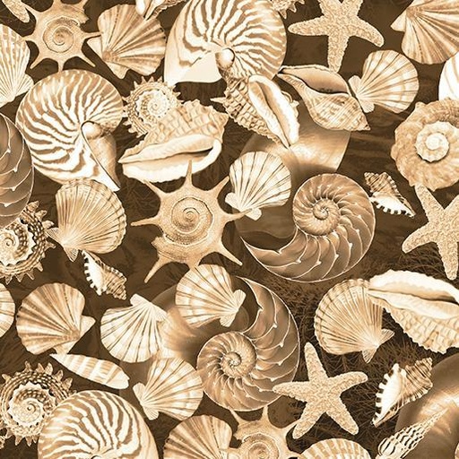 [12531-70] Oceana Shells Sand