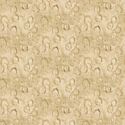 [24644-14] Spirited Tan
