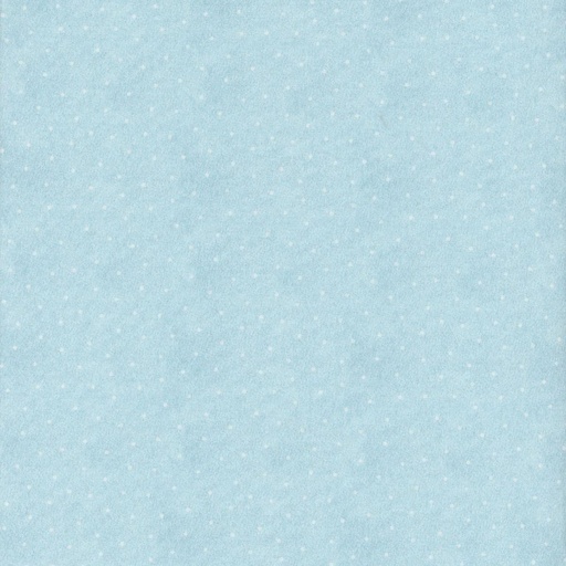 [IBVIC10VIC 1 Blue] Victoria