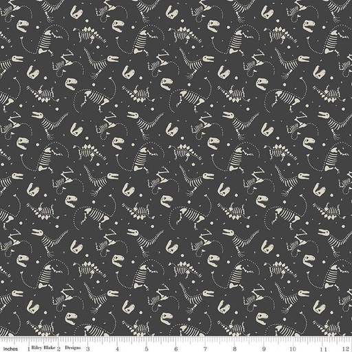 [C12463-CHARCOAL] Roar Bones Charcoal