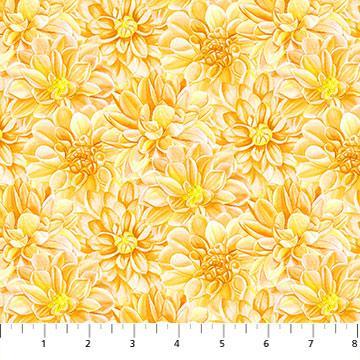 [24923-52] Morning Blossom