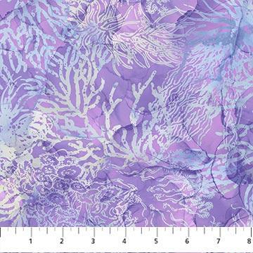 [DP24984-82] Whale Song Lavender