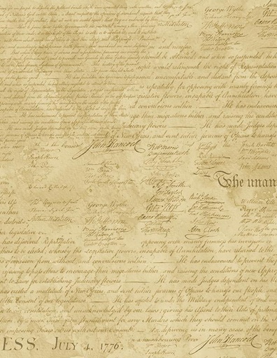 [3056 50010 222] Colors of Courage Declaration