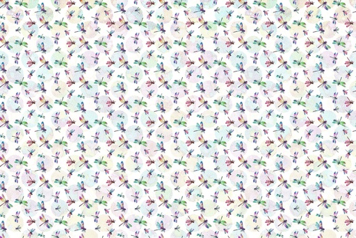 [DP27504-10] Dragonfly Dance