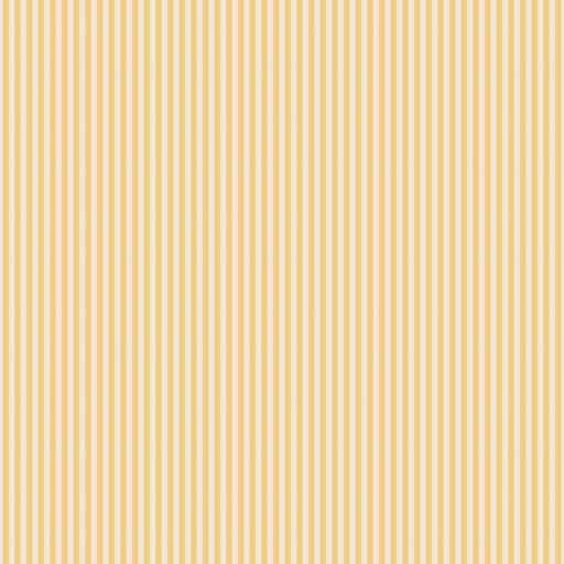 [C505-HONEY] 1/8" Stripe on Ivory Honey