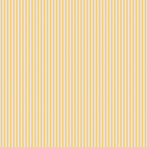[C505-HONEY] 1/8" Stripe on Ivory Honey