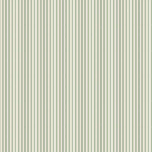 [C505-SAGE] 1/8" Stripe on Ivory Sage