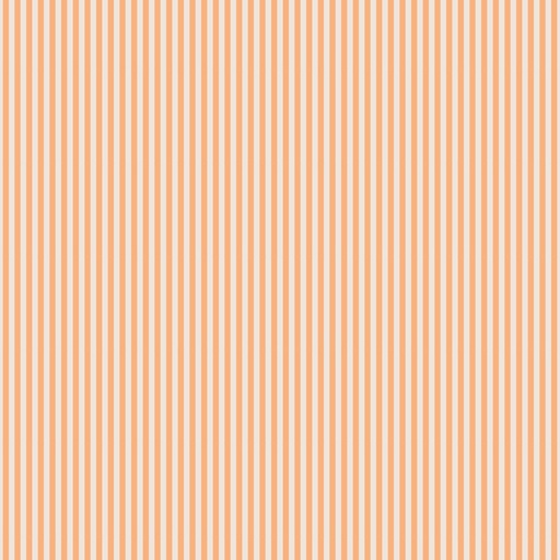 [C505-MARMALADE] 1/8" Stripe on Ivory Marmalade