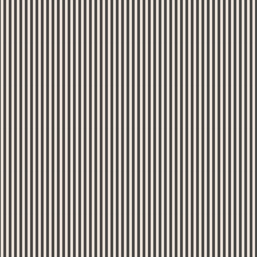 [C505-CHARCOAL] 1/8" Stripe on Ivory Charcoal