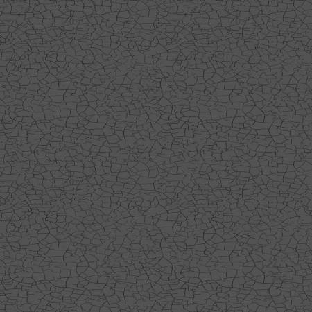 [Y4303-7] Dark Gray Explore Crackle